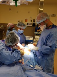 Icahn School of Medicine at Mount Sinai/Morningside/West Program (MSMW) 